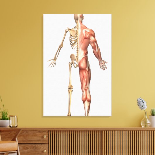 Het skelet en het spierstelsel van de mens canvas afdruk (Insitu (Woonkamer))