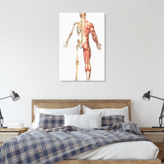 Het skelet en het spierstelsel van de mens canvas afdruk (Insitu (Slaapkamer))