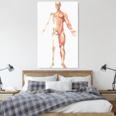 Het skelet van de mens en het spierstelsel aan de canvas afdruk (Insitu (Slaapkamer))