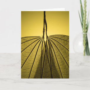 Het Skelet van het blad Kaart