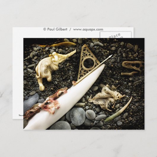 Het slaan briefkaart (Voorkant / Achterkant)