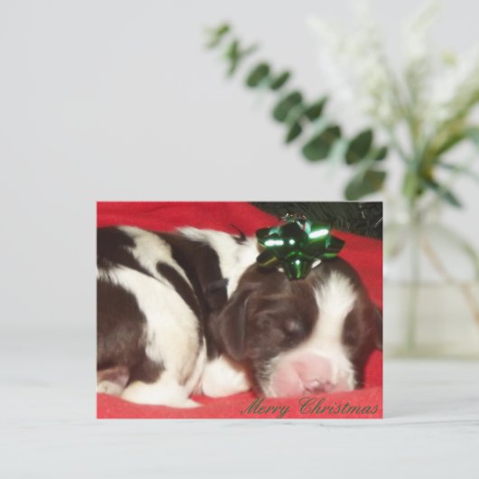 Het slaap Engelse Puppy van Kerstmis van het Feestdagenkaart (Staand voorkant)