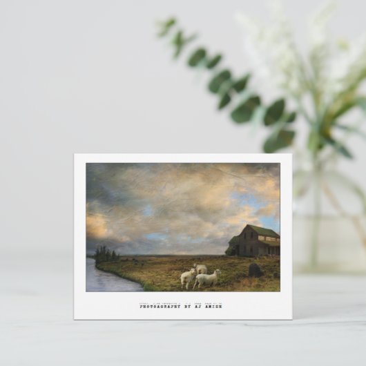 Het slachten - briefkaart (Staand voorkant)