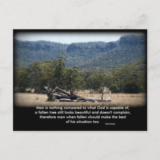 Het Slaperige Log, Man is niets vergeleken met wat Briefkaart