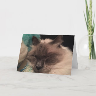 Het slaperige Wenskaart van de Kat (landschap) Kaart