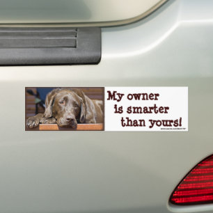 Het slimme Laboratorium van de Chocolade Bumpersticker