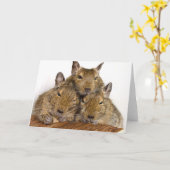 Het sluimeren Trio Degu Kaart (Gele Bloem)