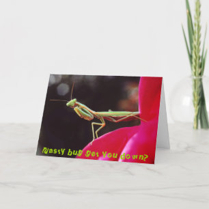 Het smerige insect wordt neer u? kaart