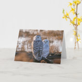 Het sneeuw Paar van de Uil Kaart (Gele Bloem)