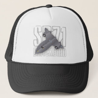 Het snelste supersonische spionagevliegtuig: SR-71 Trucker Pet