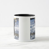 Het Soyuz TMA-19-ruimtevaartuig Mok (Midden)