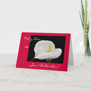 Het Spaans: Valentijnsdag/Dia DE San Valentin Feestdagen Kaart