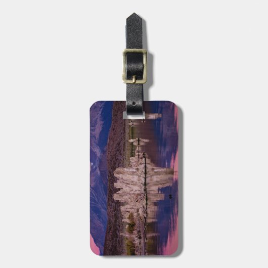 Het spectaculaire monomeer in de schaduw bagagelabel (Voorkant verticaal)