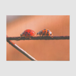 Het spel Ladybugs volgt de Leider- Decoupage Tissuepapier