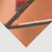 Het spel Ladybugs volgt de Leider- Decoupage Tissuepapier (Detail)