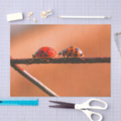 Het spel Ladybugs volgt de Leider- Decoupage Tissuepapier (Craft)