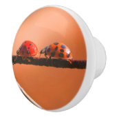 Het spel Ladybugs volgt de Leider dicht Keramische Knop (Rechts)