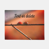 Het spel van Ladybugs volgt de Leider Gepersonalis Deurmat (Voorkant)