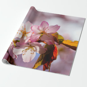 Het spelen van licht en schaduw op Sakura Petals Cadeaupapier