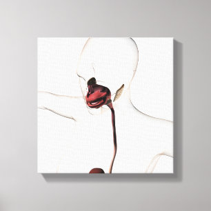 Het spijsverteringsstelsel 3 canvas afdruk