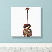 Het spijsverteringsstelsel 4 canvas afdruk (Insitu (Houten vloer))