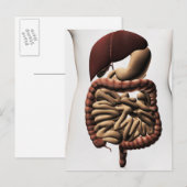 Het spijsverteringsstelsel 5 briefkaart (Voorkant / Achterkant)