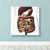 Het spijsverteringsstelsel 5 canvas afdruk (Insitu (Houten vloer))