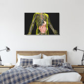 Het spijsverteringsstelsel canvas afdruk (Insitu (Slaapkamer))