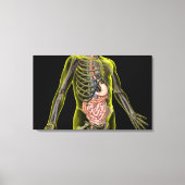Het spijsverteringsstelsel canvas afdruk (Voorkant)
