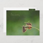 Het spijt me briefkaart (Voorkant / Achterkant)