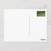 Het spijt me briefkaart (Achterkant)