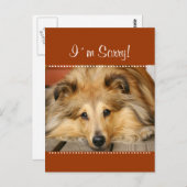 Het spijt me briefkaart (Voorkant / Achterkant)