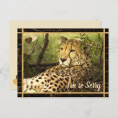 Het spijt me Cheetah Afbeelding Briefkaart (Voorkant / Achterkant)