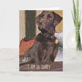 Het spijt me dat Chocolade Lab Belated Birthday is Kaart (Voorkant)