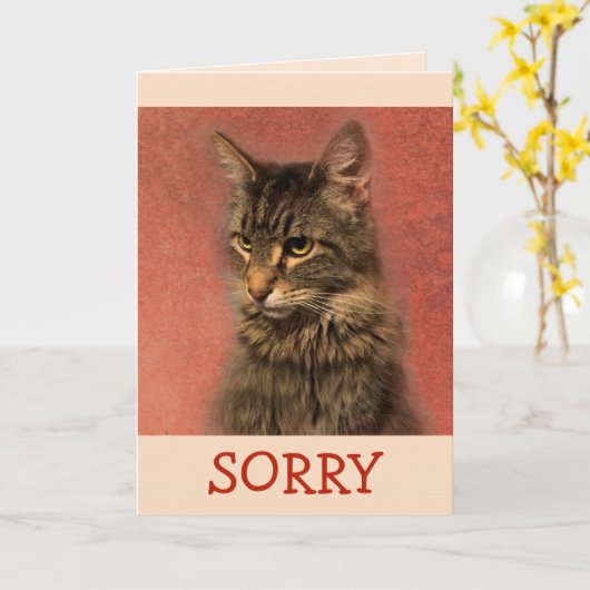 Het spijt me dat Kat excuses. Kaart (Gele Bloem)