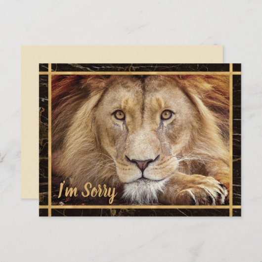 Het spijt me dat Lion Foto Afbeelding Briefkaart (Voorkant / Achterkant)