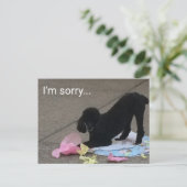 Het spijt me dat Poodle Briefkaart (Staand voorkant)