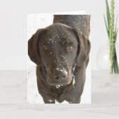Het spijt me dat sneeuwbesproeide chocolade Lab fo Kaart (Voorkant)