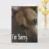 Het spijt me, droevige hond kaart (Gele Bloem)