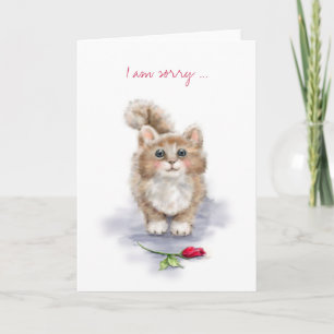 Het spijt me, heel schattig katje met grote ogen m kaart