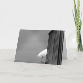 Het spijt me je te zien gaan kaart