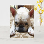 Het spijt me. kaart (Gele Bloem)