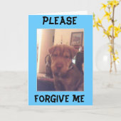 het spijt me kaart (Gele Bloem)