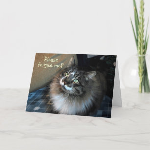 Het spijt me onweerstaanbare Cat Zorro Kaart