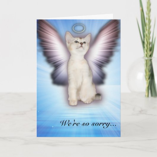 Het spijt ons zo - Cat Sympathie - Group Kaart (Voorkant)