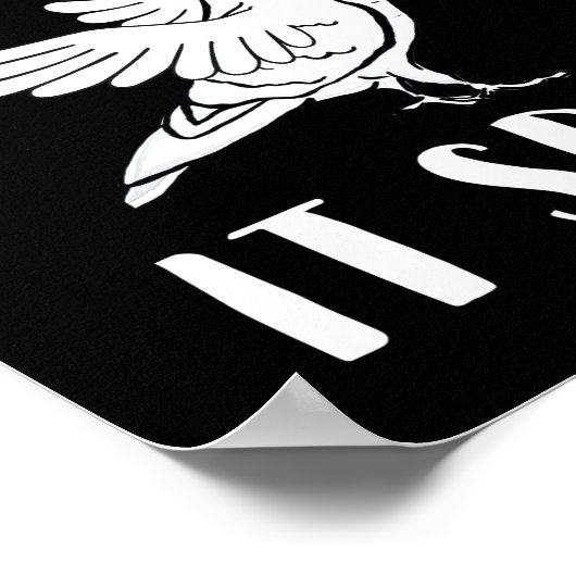 Het spioneert samenzweringstheoretische vogels zij poster (Hoek)