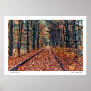 Het spoor door een Poster van het Bos