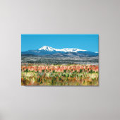 Het staatspark Katahdin Baxter in Maine Canvas Afdruk (Voorkant)