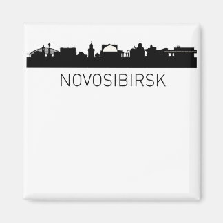Het stadsbeeld van Novosibirsk Magneet
