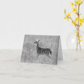 Het staren Fawn Kaart (Gele Bloem)